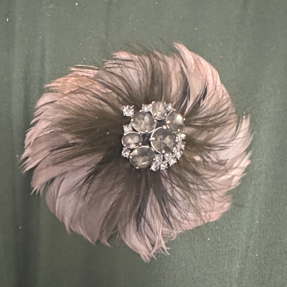 Stella & Dot feather rhinestone plume brooch pendant.